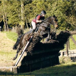 Jayne Connors - Eventing